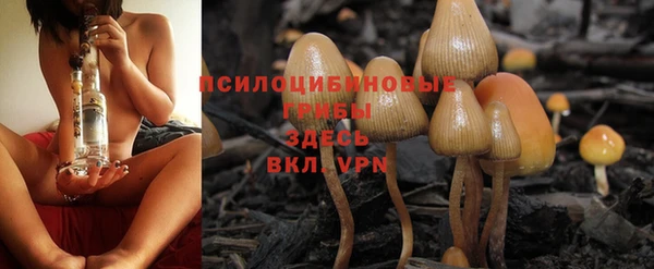 МДПВ Богородицк