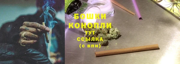 apvp Богданович