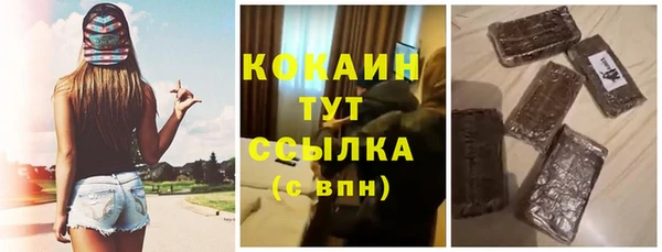 МДПВ Богородицк