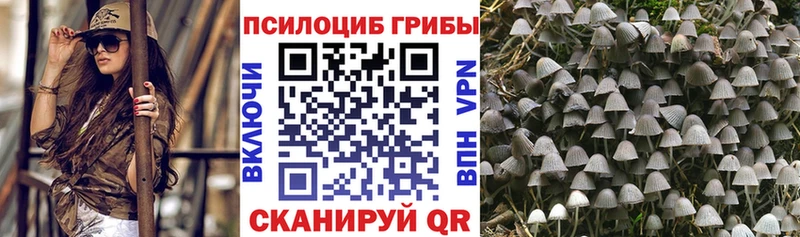 Галлюциногенные грибы мухоморы  нарко площадка какой сайт  Володарск 